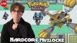 Can This Be Our WINNING RUN Of a Pokemon Radical Red Nuzlocke?