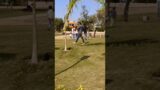 City park jpr #phonk #halloween #beats #typebeat #music #punjabimusic #dance #sidhumosewalanewsong