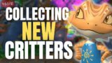Collecting NEW Critters in Critter Cove!