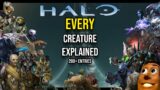 Complete Halo Bestiary | EVERY Creature in Halo Explained – Halo Lore