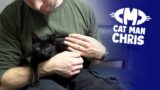 Cute Black Kitten Gets Lucky Life Transformation!