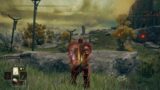 ELDEN RING win against all odds 2