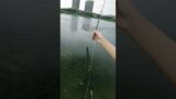 Fishing rod thatcan be broken to pieces #fishing #shorts #viralvideo