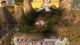 Grand Fantasia ORIGIN/ collecting Gold(mini boss: sky king blood red wind spirit)Full bag +30 gold
