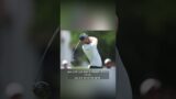 Grayson Murray, a two-time PGA Tour winner, dies at 30
