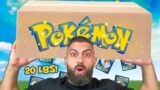 I Was SENT a GIANT 20 lb Pokemon Mystery Box!