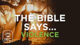 Impact Rock Church: Message – The Bible Says… Violence (Mark Harper)  9-22-24