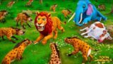 Lion King to the Rescue: Saving Forest Animals from Evil Hyenas Attack | Epic Animal Revolt Battles!