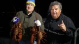Lobster Fishing at Catalina Island