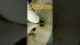 Magical EDM Technology Known as the “nemesis”of broken taps remove broken wires without contact