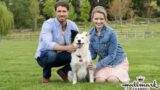 Romance to the Rescue 2024 – Best Hallmark Movie 2024 – Great Hallmark Romance 2024 – New Movies