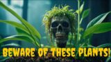 Some of The World's Most Poisonous Plants!!!  #deadly #warning #caution #poisonousplants
