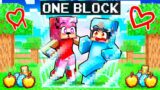 Surviving ONE LOCKED BLOCK With SHIN AMY SONIC and CRAZY FAN GIRLS!