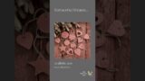 Terracotta Dreaming…