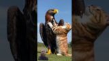 The Unlikeliest Animal Friendship: Eagle & Cat #shortvideo #viralvideo #cats #shortfeed #nature