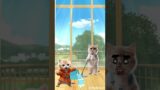 Trouble maker #cat #cute #shortvideo #trendingshorts
