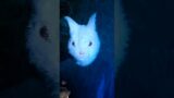 Wildfox in the jungle #kdrama #wildfox #horrorstories #netflix #youtubeshorts #horror