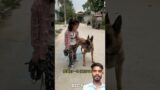 #dog #woodworkingartandcrafts #humanity #story #emotional