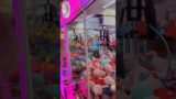 great day in funtasia
