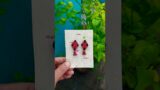Terracotta Earring