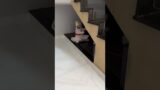 Festa a fantasia