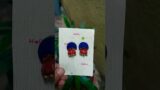 Terracotta Earring