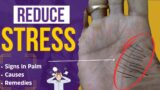 3 Powerful TIPS to reduce STRESS | will 100% work