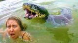 7 Snake Encounters Caught On Camera