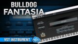 BULLDOG FANTASIA / ROLAND D50 | VST INSTRUMENT | SOUND BANK