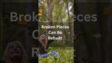 Broken Pieces Can Be Rebuilt, Into A Stronger, Resilient Whole