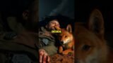 Dingo to the Rescue: A Survival Story You Won't Forget! #Shorts