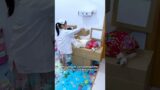 Dogs are the best angels#youtubeshorts#shorts #animal #rescue #dog