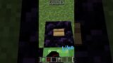 Elytra launcher #minecraft #gameplay #music #rap @RISHAVGAMINGZ
