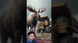 Experiment Hewan Digabungkan Dengan Truck!! #m4zsda #shortvideos #horrorgaming #shorts #reaction