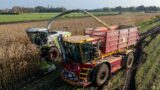 Extreme maize harvest | Vredo to the rescue! | Claas Jaguar 960 Nikkels – Teuge