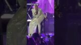 Fantasia SANGS BITTERSWEET
