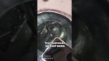 Fluid Fantasia: The Agitator Adventure Begins