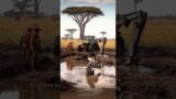 Giraffe Rescue in the Savanna #giraffe #trending #rescue #cute #help