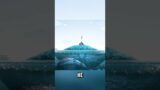 How A Crab’s Island Secret Will Impress You!” #shortvideos