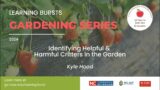 Identifying Helpful & Harmful Critters in the Garden