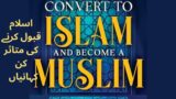 Incredible Stories of People Converting to Islam (MUST WATCH!) @dreamscaper-k1m