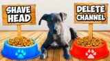 Letting My Dog Control My Life For 24 hours !