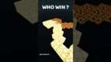 Minecraft Dog vs Skeleton SHOWDOWN – Who Survives? pt.3 #shortsfeed #shorts #short