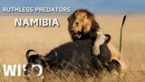 NAMIBIA | Survival Journey Against Relentless Predators | Animal Documentary