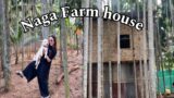 Naga Farm house| piggery & poultry farm |A date day with my amico and cousin| | cooking beef innards