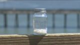 Nurdles: They might be tiny, but they are causing big problems