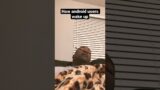 Oh great heavens #dadbeingdad2023 #shortsviral #comedyshorts