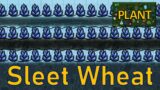 Oxygen Not Included – Plant Tutorial Bites – Sleet Wheat