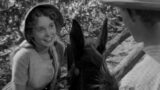 Romance of Rosy Ridge ~ Post-Civil War Drama ~ Full Movie ~ 1947