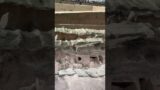 Terracotta Army in Xi'an, aka Terracotta Warriors and Horses #china #war #army #solger #viralshorts